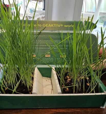 Povečanje kmetijskega pridelka Slovenija