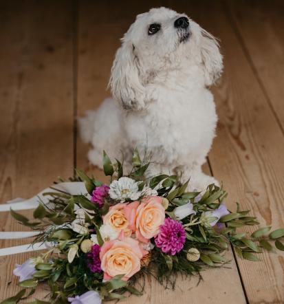 Fotografiranje za pare Slovenija