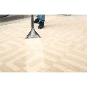 AR COMPANY, Adnen Mahić s.p.