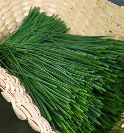 Malice in kosila BTC Ljubljana, Okrepčevalnica Škrnic’lj