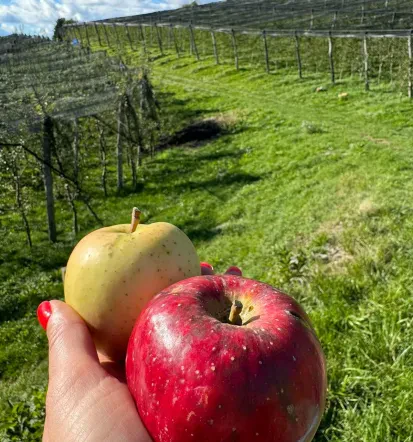 Kakovostna turistična kmetija v okolici Škofje Loke, turistična kmetija