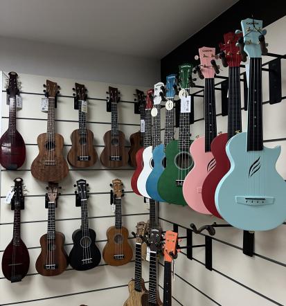 Akustične in električne kitare Slovenija