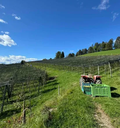 Domačija Blaževc, miren oddih v naravi Gorenjske, turistična kmetija