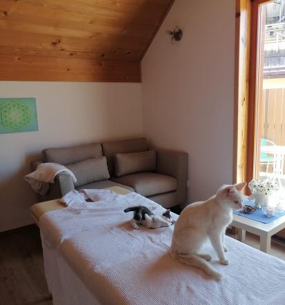 Masaža obraza, vratu in dekolteja Savinjska, Slovenija