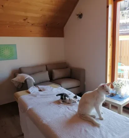 Masaža obraza, vratu in dekolteja Savinjska, Slovenija