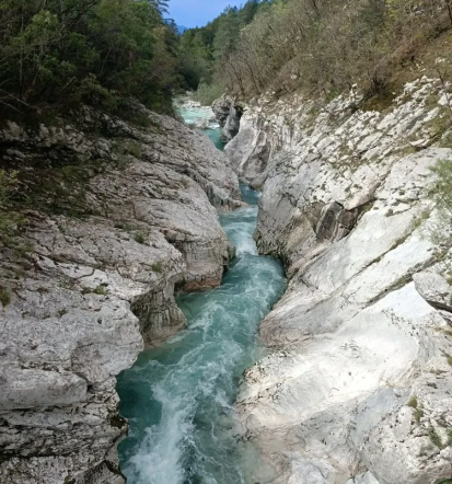 Organizirano vodenje po Julijskih Alpah