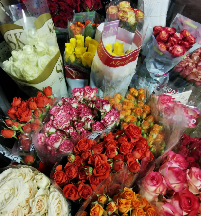 Cvetličarna Šmarje pri Jelšah, dobra vrtnarija Savinjska