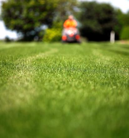 Čiščenje zaraščenih površin Hrvaška