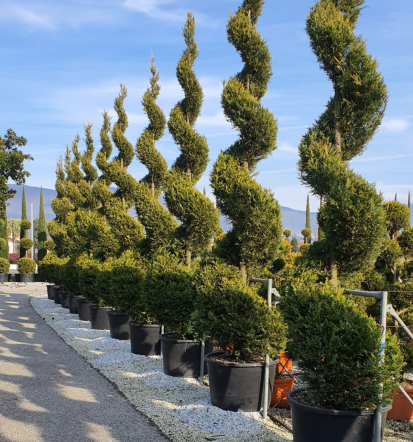 Redno vzdrževanje in nega vrta, urejanje in vzdrževanje okolice Koroška