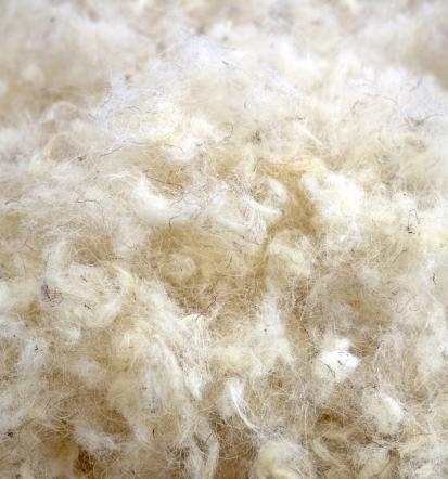 Šišanje ovaca Slovenija, Hrvatska