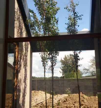 Kvalitetna izdelava panoramskih sten Ljubljana