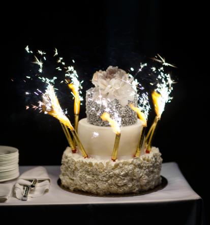 Fleksibilna postavitev miz in plesišča, velik prostor Gorenjska