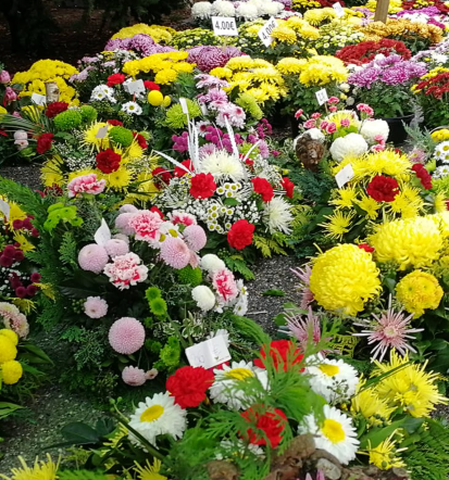 Dobre sadike Štajerska