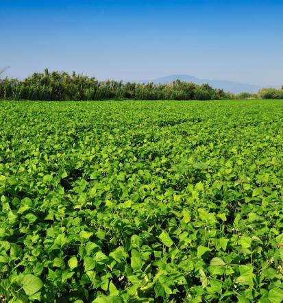 GreenGrow, inovacije za trajnostno kmetijstvo in varovanje okolja Slovenija