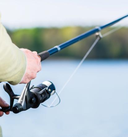 Najem dobrega piknik prostora Oplotnica, Podravska