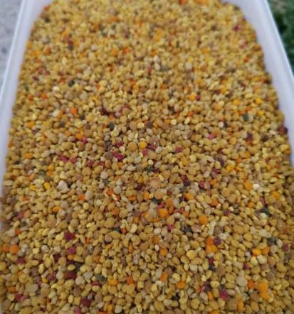 Domači medeni izdelki Metlika