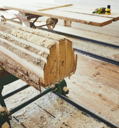 Žaganje in skobljanje lesa Maribor