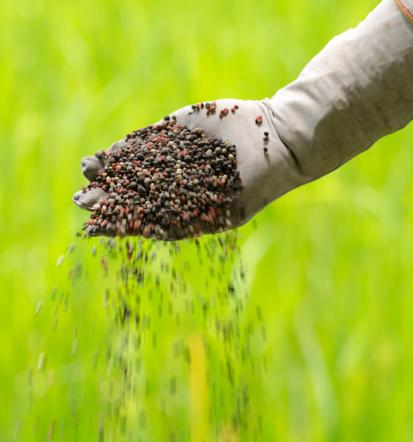 GreenGrow d.o.o., organsko gnojilo Slovenija, naravne rešitve za kmetijstvo in okolje