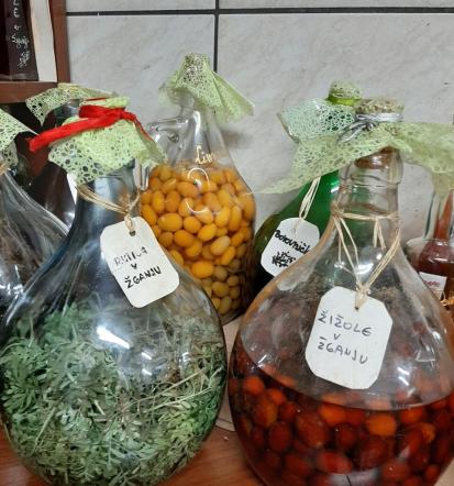 Degustacije vin na turistični kmetiji Kras