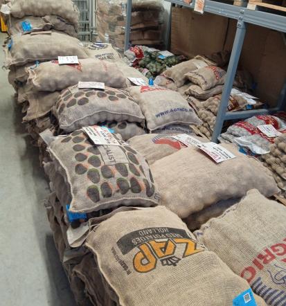 Domači mlečni izdelki Goriška