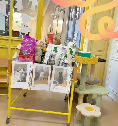 Vpis v osnovno šolo Štajerska