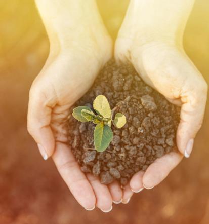 Online coaching Slovenija