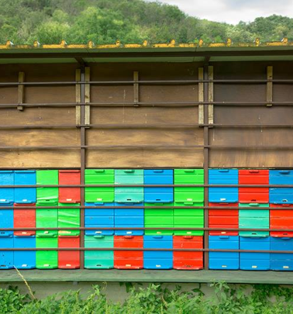 Kmetija s prostorom za praznovanje in nočitvami Goriška, v objemu gričev in vinogradov