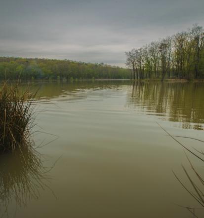 Ohranimo dediščino s KTD Prosenjakovci, Pomurje