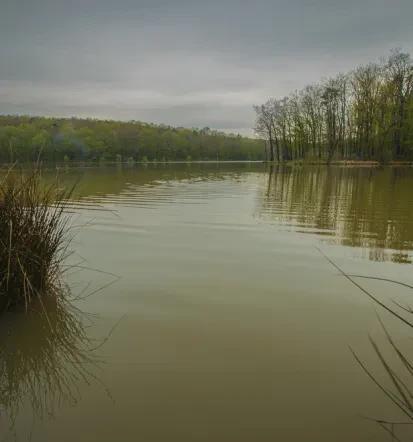 Ohranimo dediščino s KTD Prosenjakovci, Pomurje