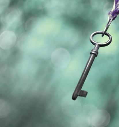 Online coaching svetovanja Slovenija