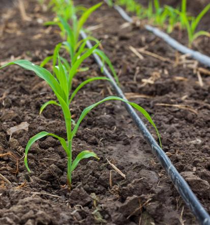 Učinkovito in okolju prijazno organsko BIOAKTIV® gnojilo za vsako kmetijo v Sloveniji
