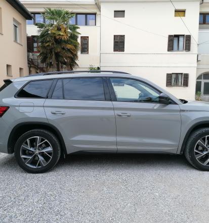 Reklama na avtu Primorska