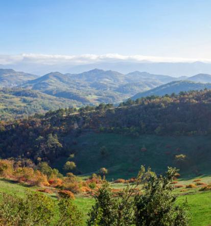 Odkrijte Štanjel z lokalno vodnico Vlasta Markočič