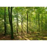 Barbarine iskrice, Barbara Rozman s.p.