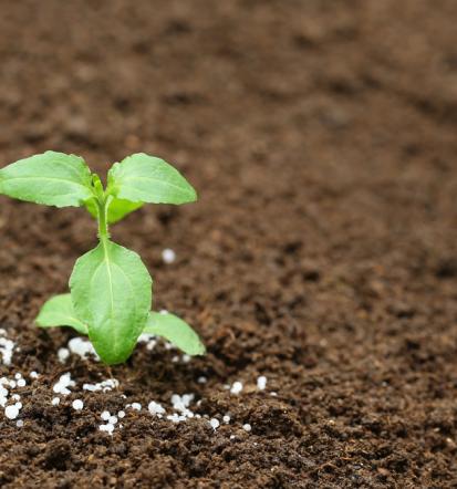 BIOAKTIV® gnojilo, hitra povrnitev naložbe in večja produktivnost Slovenija