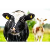 AGRARNA SKUPNOST GRAD - BLED