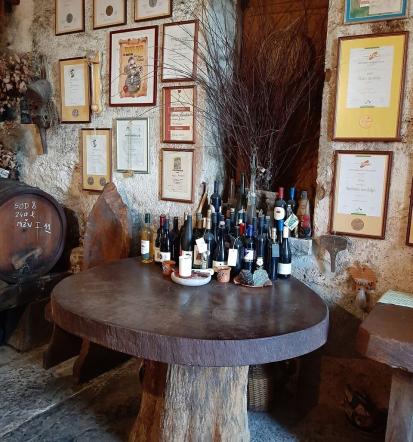 Obisk turistične kmetije na Krasu