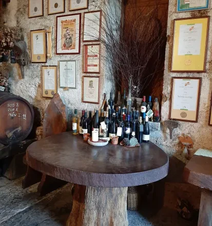 Obisk turistične kmetije na Krasu