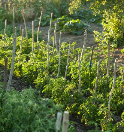 Naravno humusno gnojilo BIOAKTIV®, varno za tla in podtalnico Slovenija