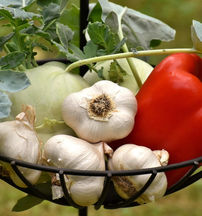 Ekološka zelenjava, lokalno pridelana v Cerkvenjaku