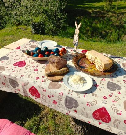 Oddaja brunarice Moravske Toplice