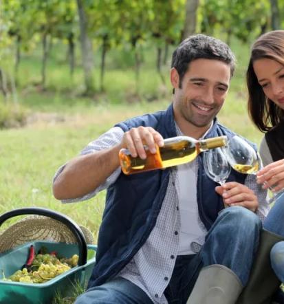 Iskanje ljubezni Savinjska