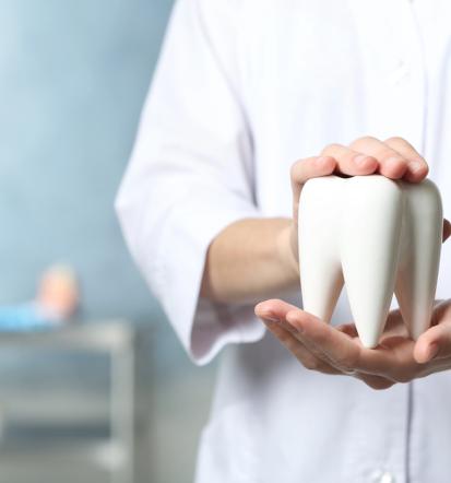 Zobar na koncesijo Ormož, Podravska