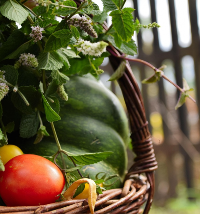 Organizacija rojstnih dni in obletnic na Kosovelovi kmetiji