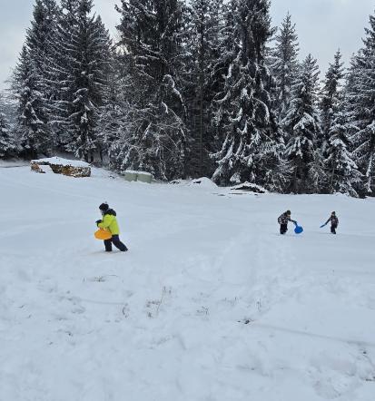 Zimski tabori za otroke Koroška