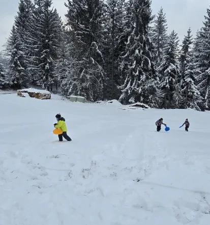 Zimski tabori za otroke Koroška