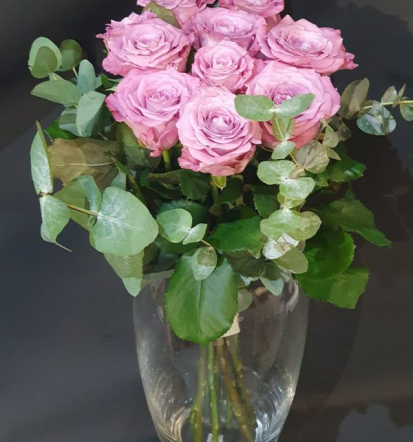 Cvetlični boxi in aranžmaji, dobra cvetličarna Maribor