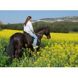 Društvo za kulturo, šport in turizem Jurij