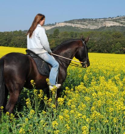 Tradicionalne prireditve, Jurjevanje, rez trte in Trgatev Jurijske trte
