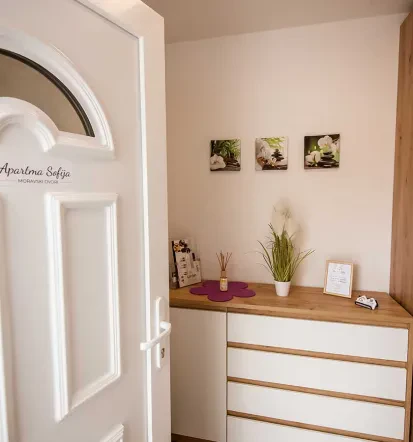 Affordable apartment Moravske toplice